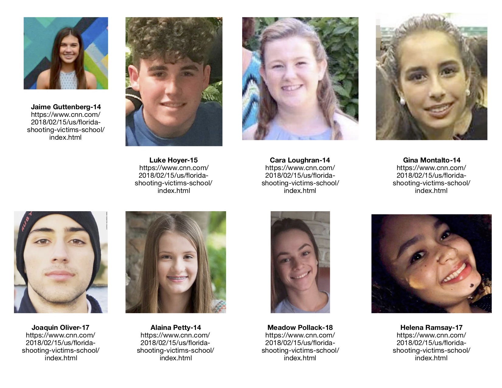 School Shooting Victims 2
