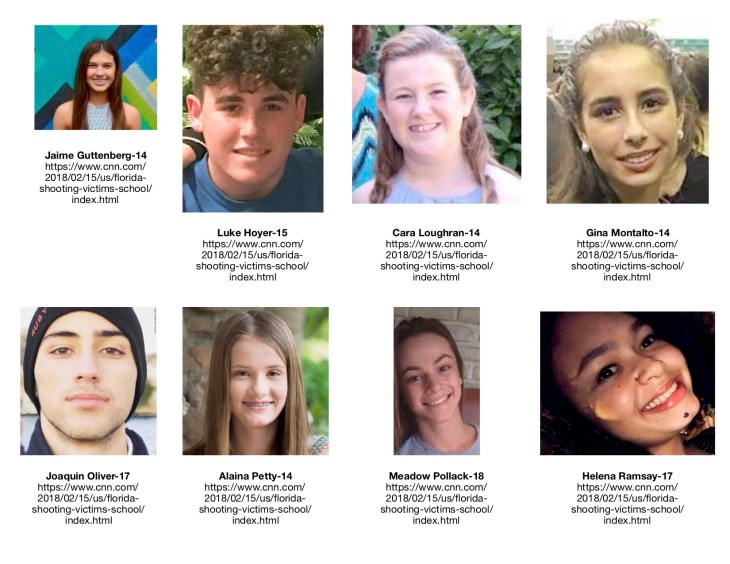 School Shooting Victims 2