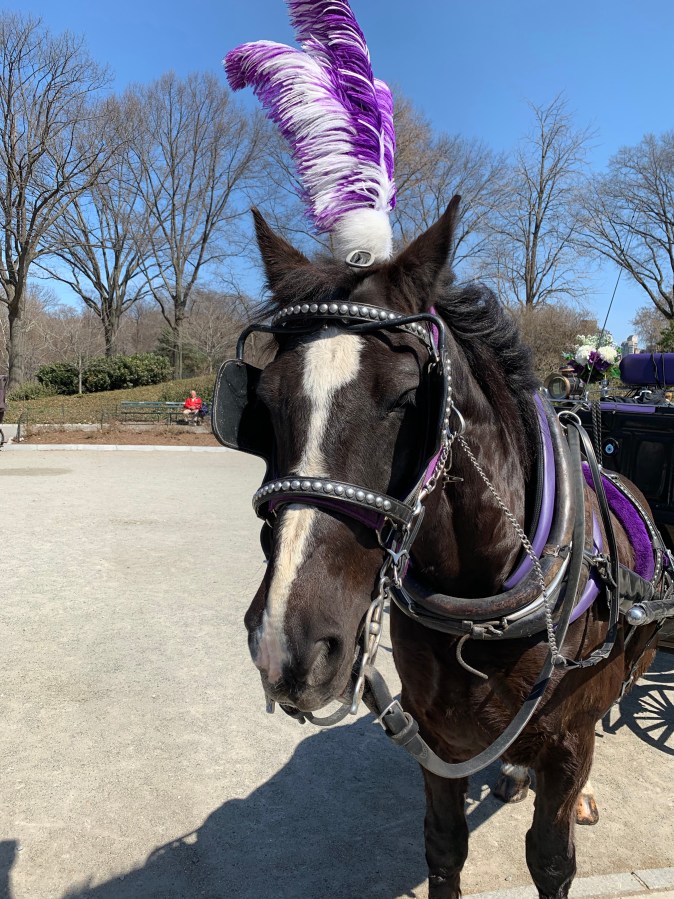 Last Day, Sad&nbsp;Day